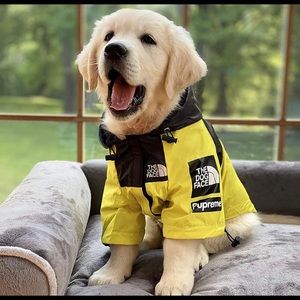 🐾 The Dog Face Windbreaker 🐾